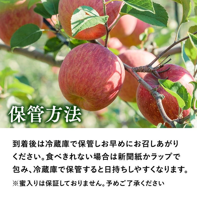 11～12月 贈答用 キラ農法 特選クラス 完熟りんご ぐんま名月約3kg 【青森りんご・平川市広船産・11月・12月】
