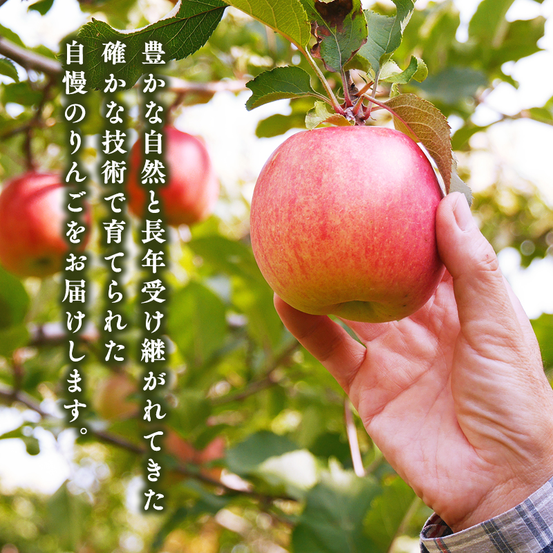1月 サンふじりんご「特A」約3kg 糖度13度以上 【森山商店・平川市・青森りんご・1月】
