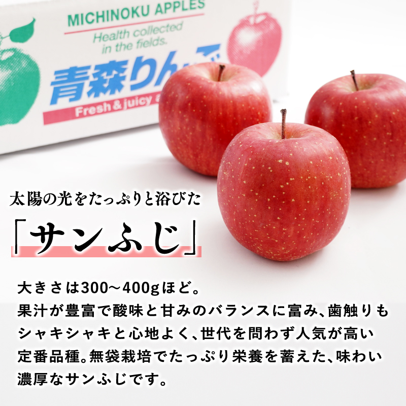 【2025年12月発送】 吹田りんご園 山の完熟サンふじ約5kg 【吹田りんご園・青森りんご・平川市広船産・12月】