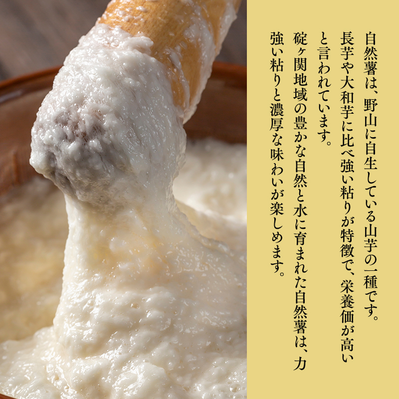 碇ヶ関産 自然薯1本