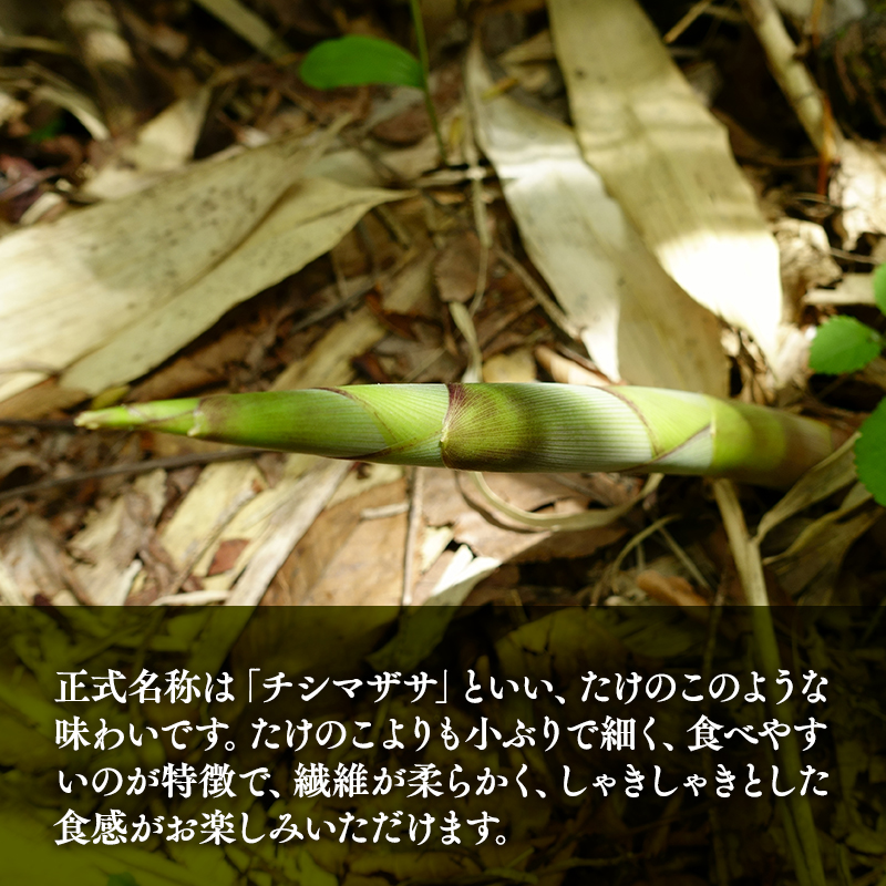 ねまがりたけのこの瓶詰めセット