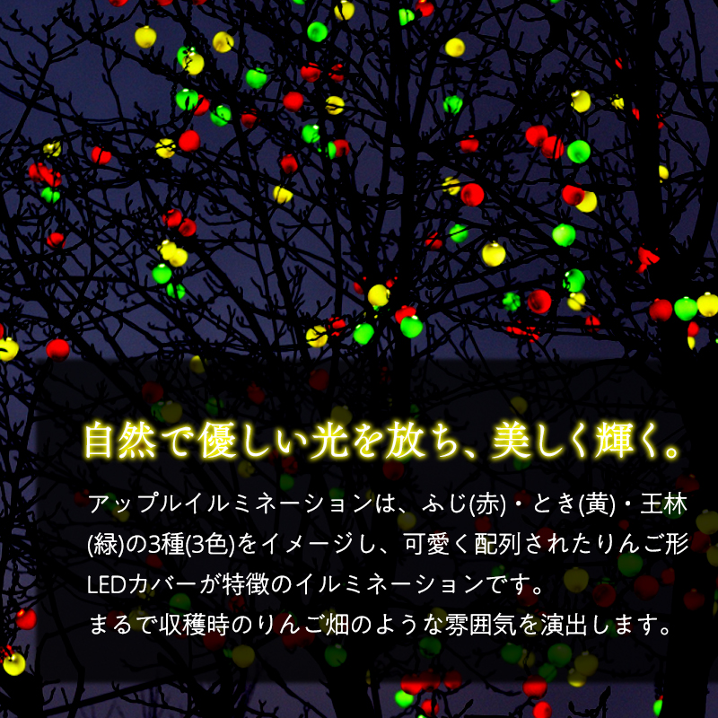 アップルイルミネーション（コントローラ付き・コード2m×1個）【LED】
