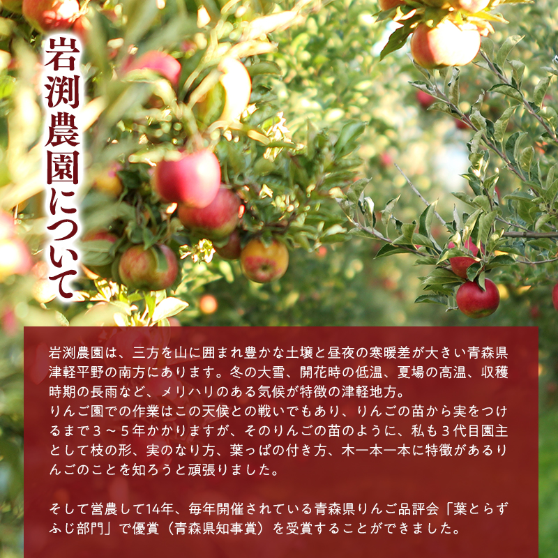 葉とらずりんごジュース（ストレート）1Lｘ4本