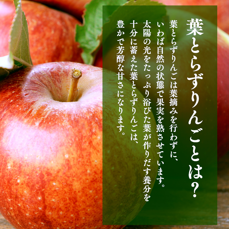 1～3月 訳あり 葉とらず サンふじ 家庭用 約3kg 【岩渕農園・平川市産・青森りんご・1月・2月・3月】