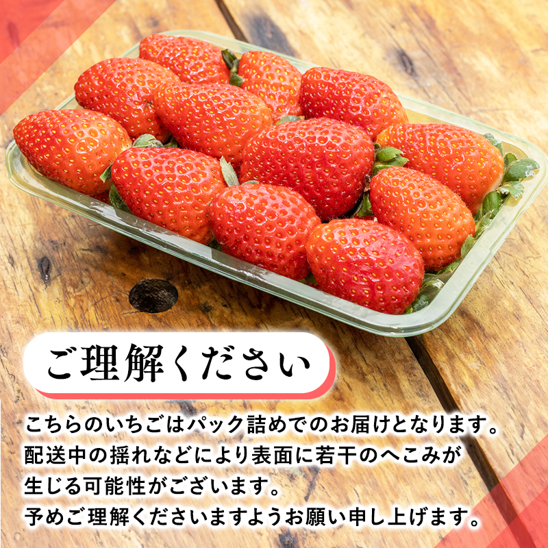 【2~4月発送】いちご よつぼし 約200ｇ×4パック