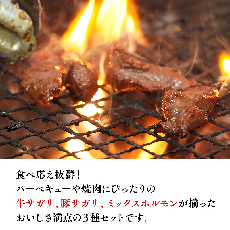 『レジェンド精肉店』としてTVに取りあげられた大人気精肉店！平川サガリ焼肉セット　約3㎏<hi-0029-002>