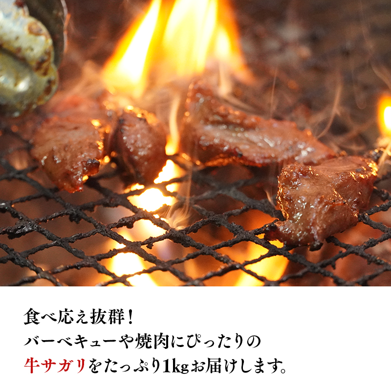 『レジェンド精肉店』としてTVに取りあげられた大人気精肉店！平川サガリ(牛)　約700ｇ<hi-0029-004> 	