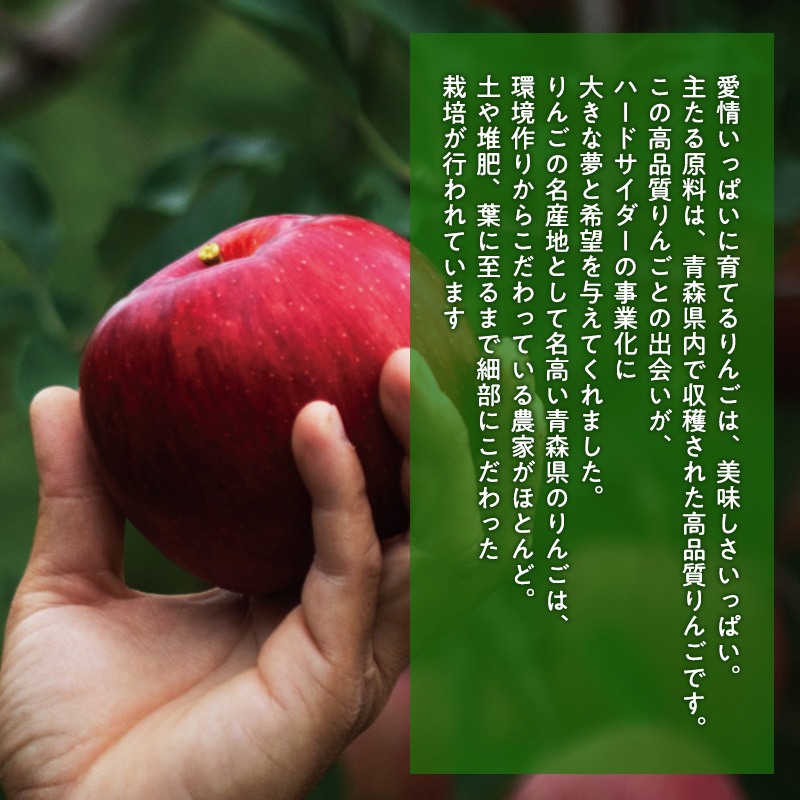 りんごの果実酒 CRAZY CIDER（クレイジーサイダー・ドライ：アルコール度数7％）330ml×6本セット