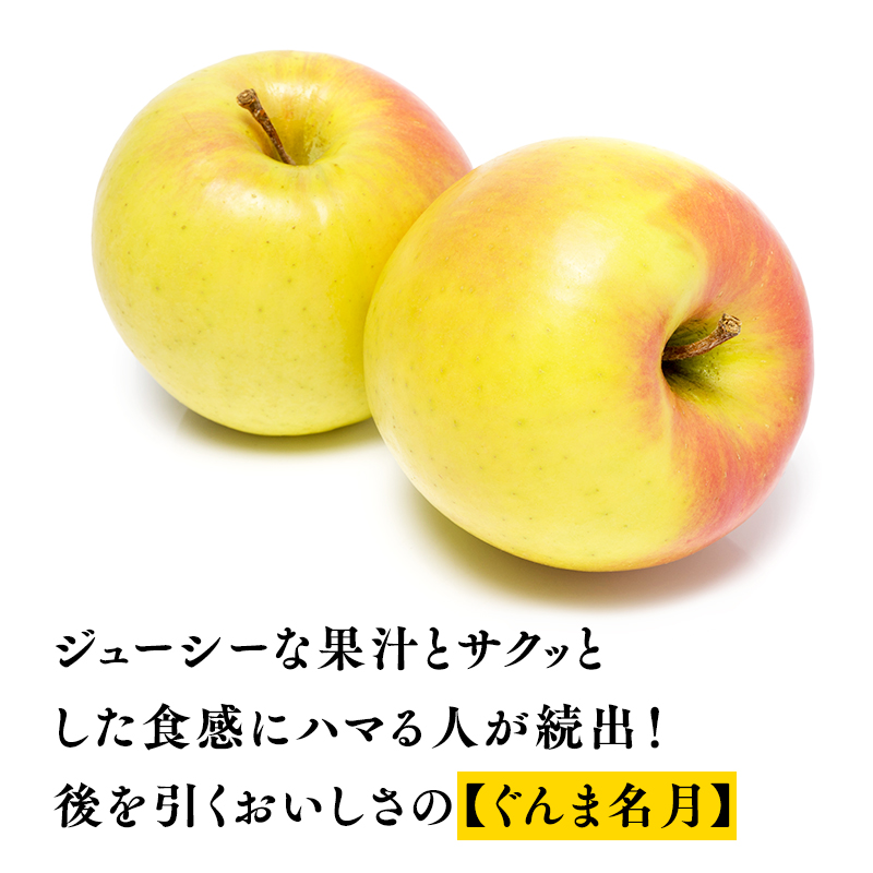 【10～11月発送】贈答用 農家直送 樹上熟成りんご シナノスイート・ぐんま名月 約3kg【平川市産・青森りんご】
