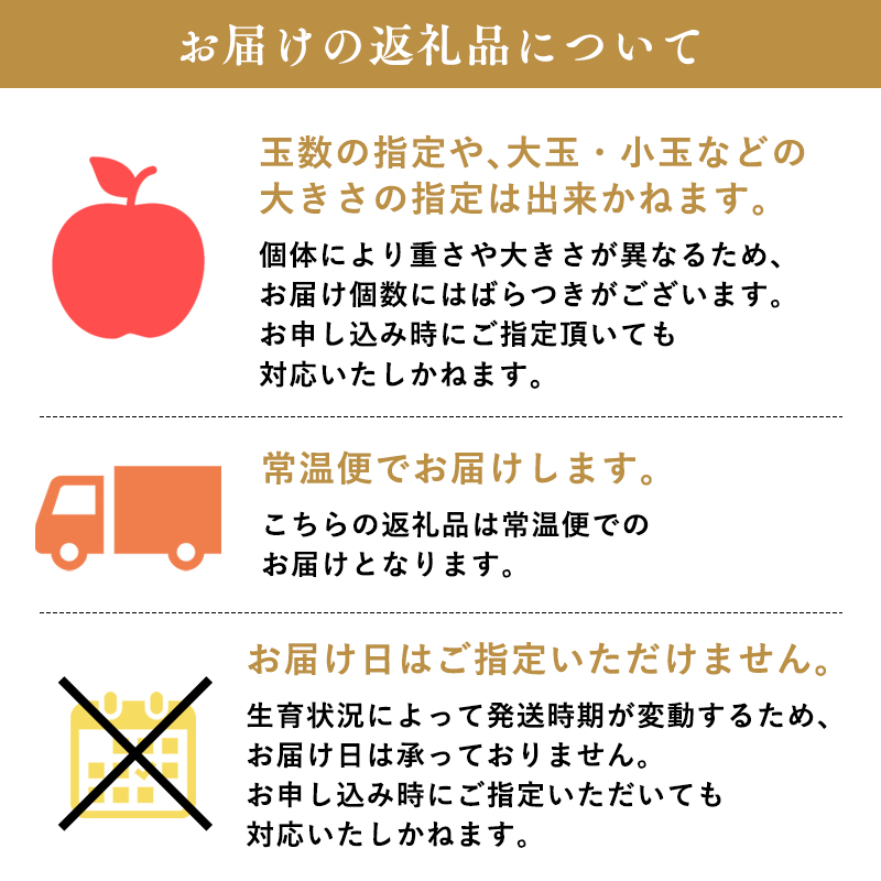 ≪令和8年産先行受付≫令和9年1月発送! 贈答規格サンふじ約3kg【青森県平川市産・青森りんご】【青森県 平川市 山内ファーム】 平川市産 青森りんご りんご リンゴ 林檎 ふじ 贈答 贈答品 お取り寄せ 先行予約 果物 くだもの フルーツ 