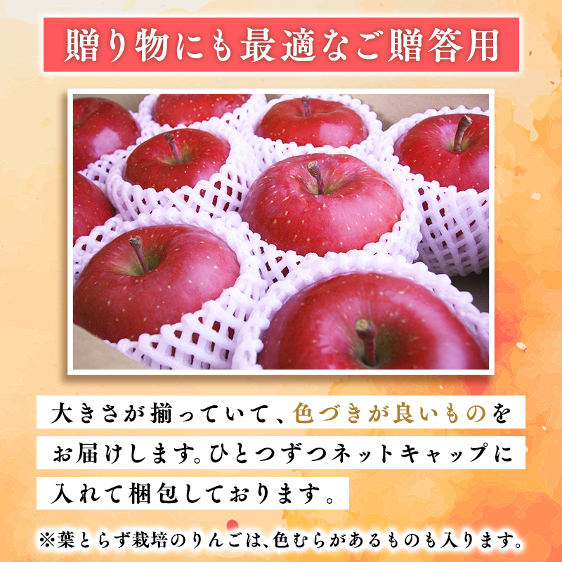 2025年産１０月・１１月発送　贈答用おいらせ10ｋｇ　【そと川りんご園・１０月・１１月・青森県産・平川市・りんご・おいらせ・10ｋｇ・贈答用】