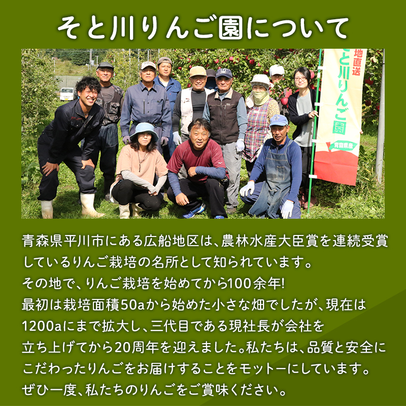 2025年産１１月～４月発送　贈答用葉とらずサンふじ5ｋｇ　【そと川りんご園・１１月・１２月・１月・２月・３月・４月・青森県産・平川市・りんご・葉とらずサンふじ・5ｋｇ・贈答用】