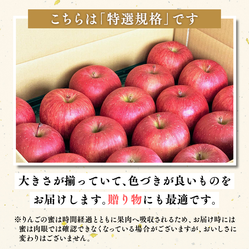 12月発送 【特選】サンふじ5㎏【りんご・青森・平川・特選・宮川商店・11月・12月・1月・2月・3月・4月