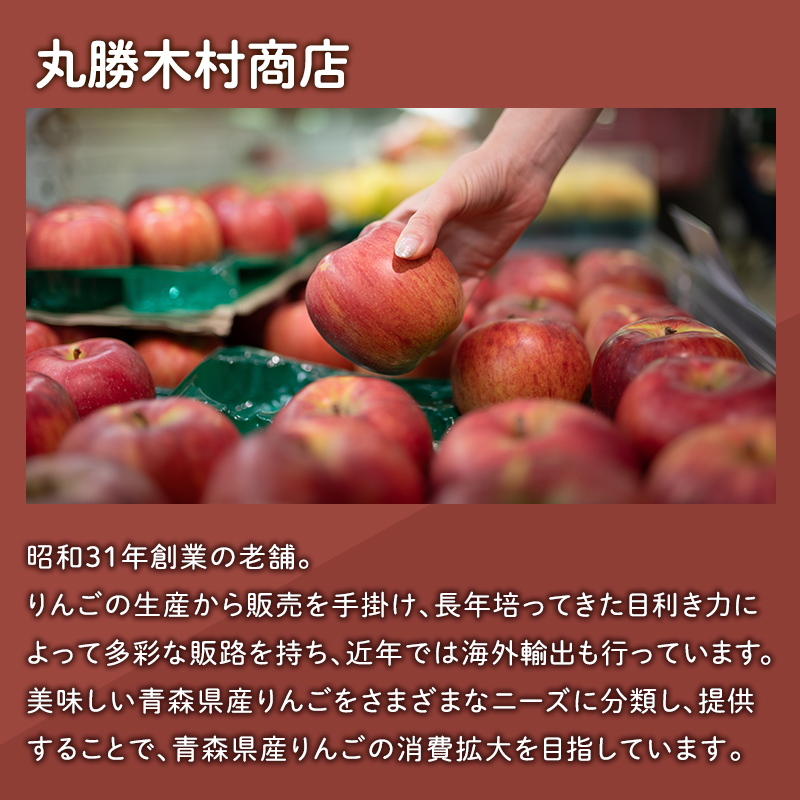  【12月発送】家庭用サンふじ5㎏【丸勝木村商店・青森りんご】