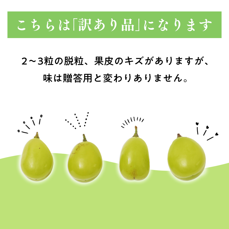 2026年産先行受付　訳あり 北国の冬シャインマスカット2房【原田農園】[hi-0068-001]シャインマスカット 訳あり 家庭用 ぶどう 産地直送 高糖度 平川市