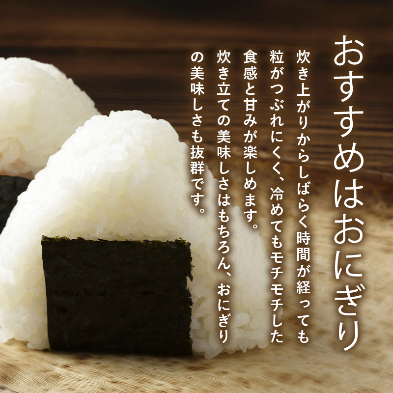 令和7年産 青天の霹靂5kg