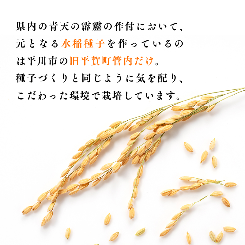【定期便】3か月連続でお届け 令和6年産 青天の霹靂5kg(精米)