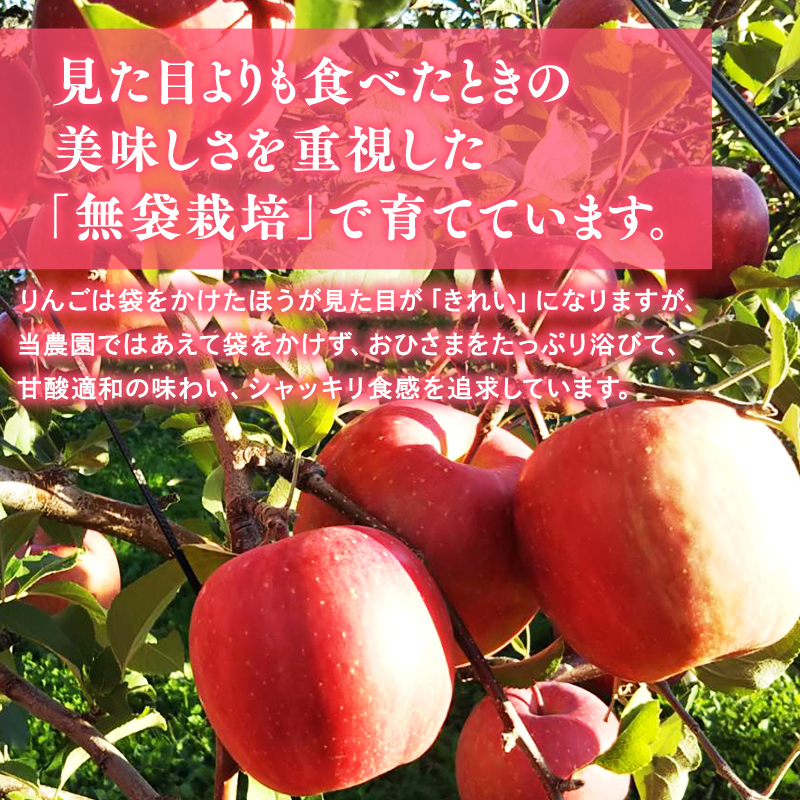 完熟りんごジュース「キラのしずく」1L×6本 (細口ボトル)