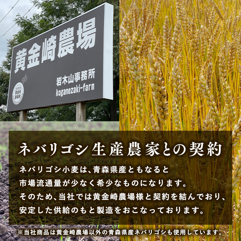 高砂食品 青森ネバリゴシ麺カリーうどん10食