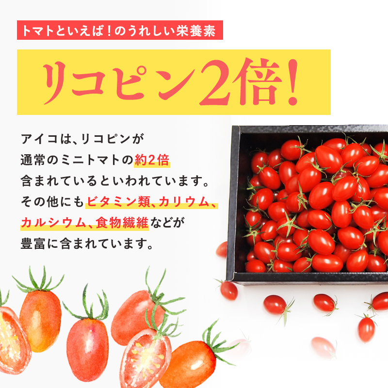再生可能エネルギー生まれ 高糖度ミニトマトジュース500ml×3本