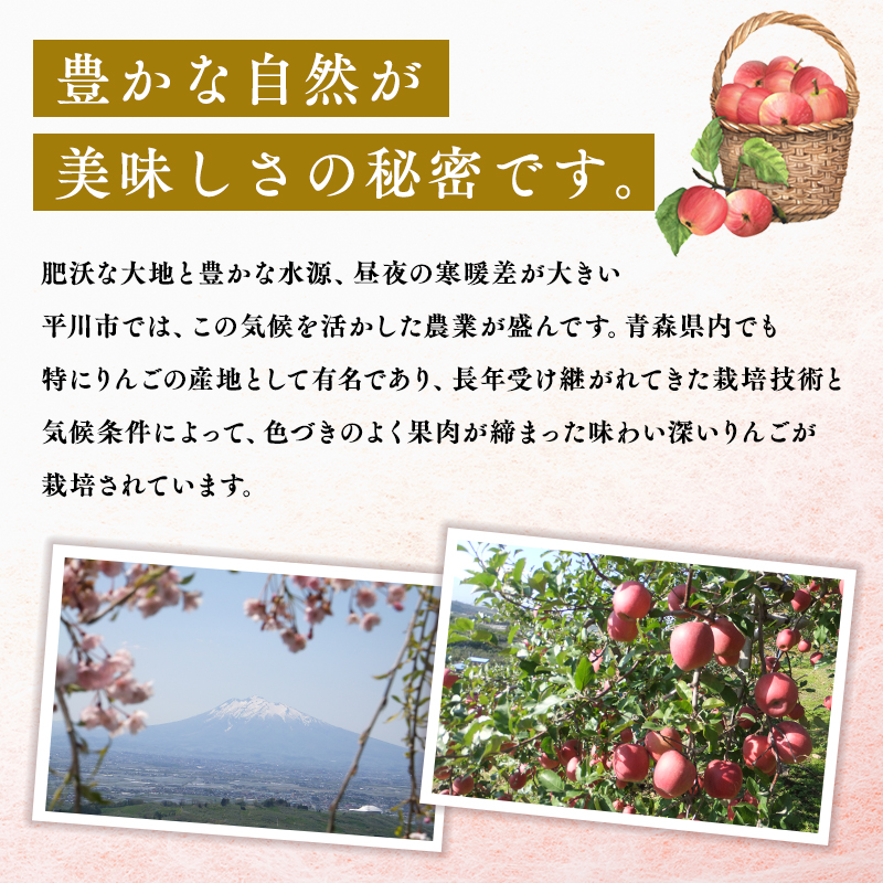 3月 訳あり 家庭用葉取らずサンふじりんご 約10kg【森山商店・青森県産・青森りんご・3月】