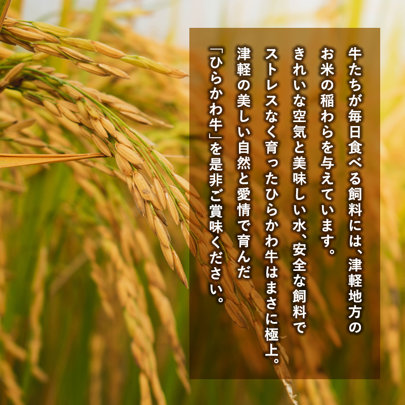 ひらかわ牛使用の手作りハンバーグ約1.3kg