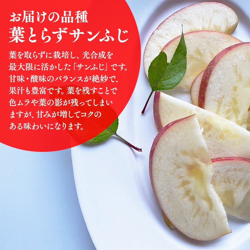 ≪2026年12月上旬頃より発送≫青森県産 訳あり ぐんま名月・葉とらずサンふじ 詰め合わせセット 約3kg【青森県 平川市 なるみ農園】家庭用 訳アリ 青森 青森県産 平川 りんご リンゴ 林檎 くだもの 果物 フルーツ