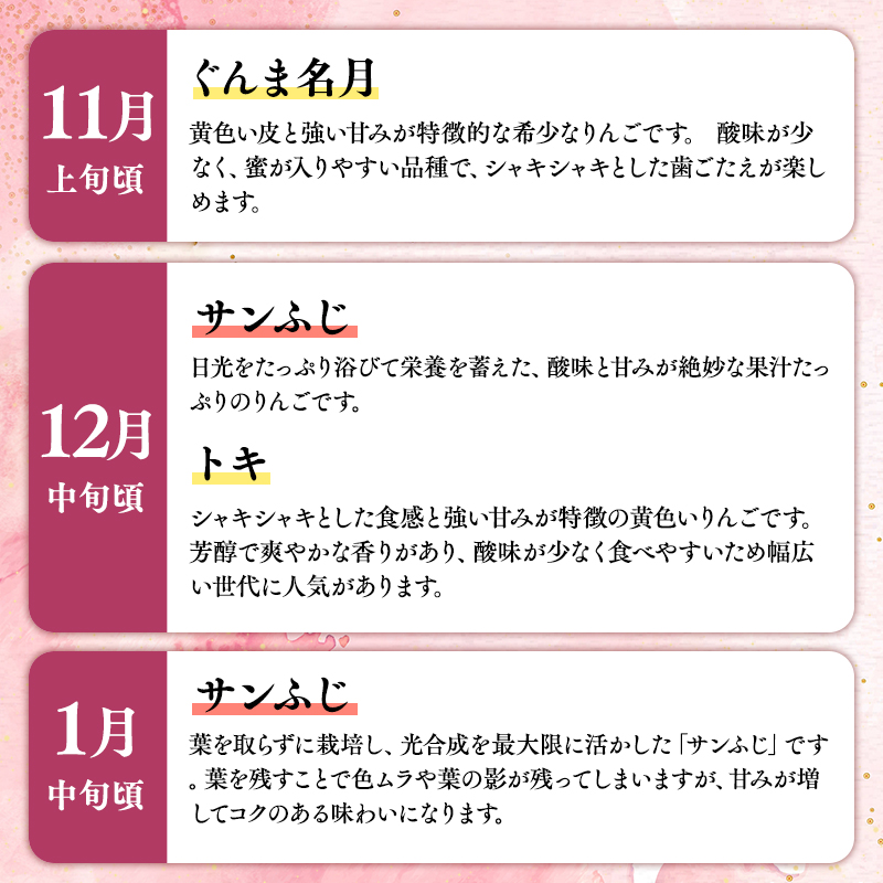 ≪2026年8月下旬頃より発送≫青森県産 贈答用りんご 6か月定期便 約3kg【青森県 平川市 なるみ農園】贈答 贈答規格 青森 青森県産 平川 りんご リンゴ 林檎 くだもの 果物 フルーツ 