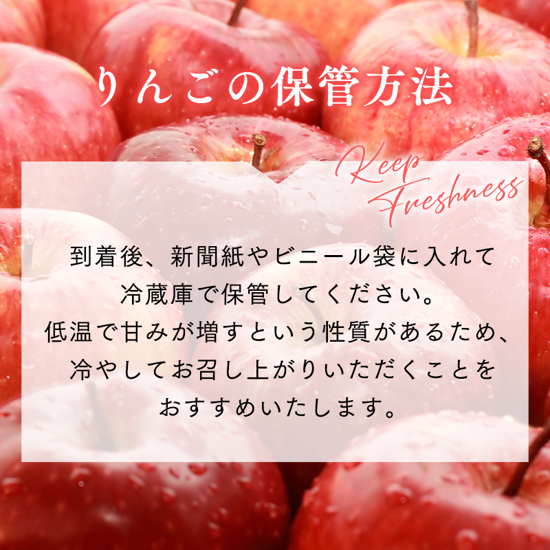 【令和7年産先行受付】令和8年1～2月発送 贈答規格サンふじ約3kg【青森県平川市産・青森りんご】