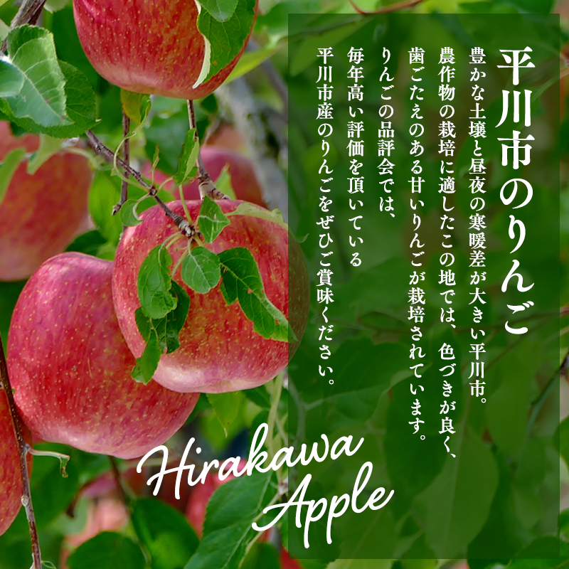 田中農園 100年の歴史 蜜星ジュース 1L×3本【青森りんご・りんごジュース】