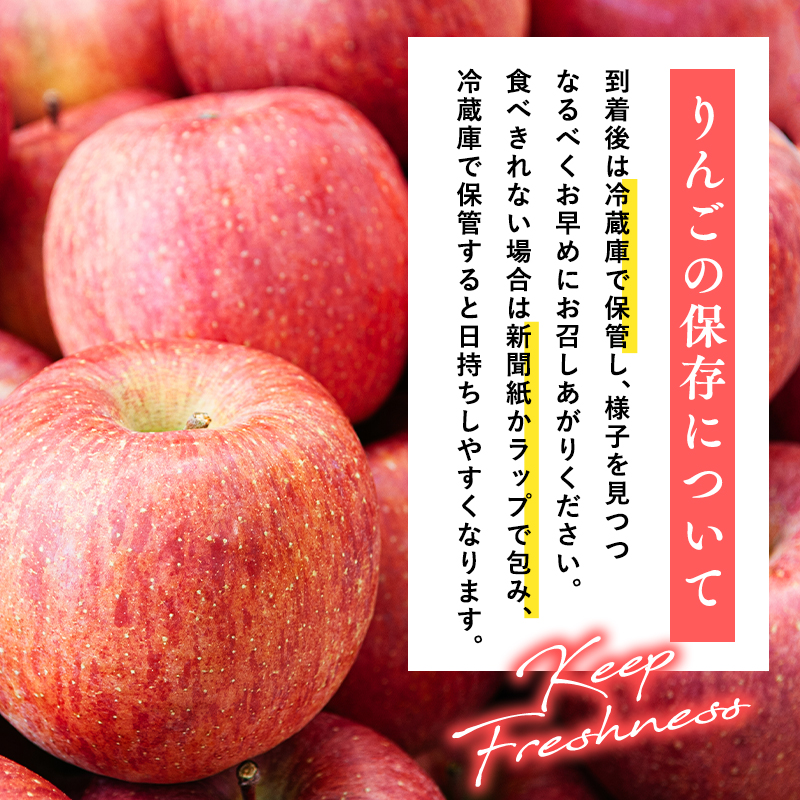 3月 訳あり 家庭用葉取らずサンふじりんご 約10kg【森山商店・青森県産・青森りんご・3月】