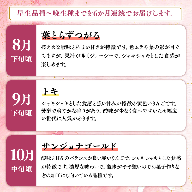 ≪2026年8月下旬頃より発送≫青森県産 贈答用りんご 6か月定期便 約3kg【青森県 平川市 なるみ農園】贈答 贈答規格 青森 青森県産 平川 りんご リンゴ 林檎 くだもの 果物 フルーツ 