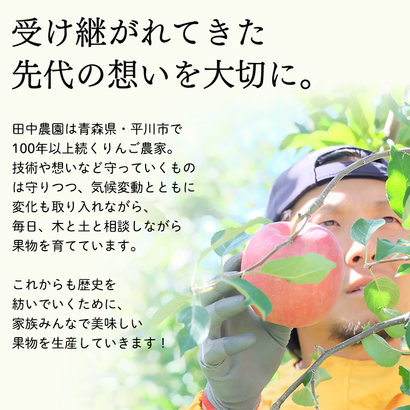 田中農園 100年の歴史 蜜星ジュース 1L×3本【青森りんご・りんごジュース】