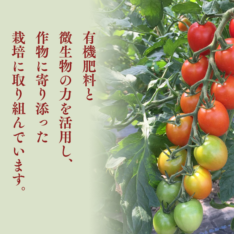 yucarifarmの無添加ミニトマトジュース 1L×6本　【青森県平川市産】