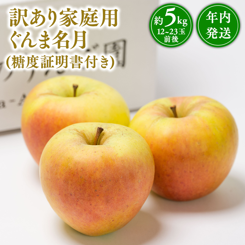年内発送 【訳あり】家庭用ぐんま名月約5㎏（糖度証明書付き） 【那由多のりんご園・平川市産】