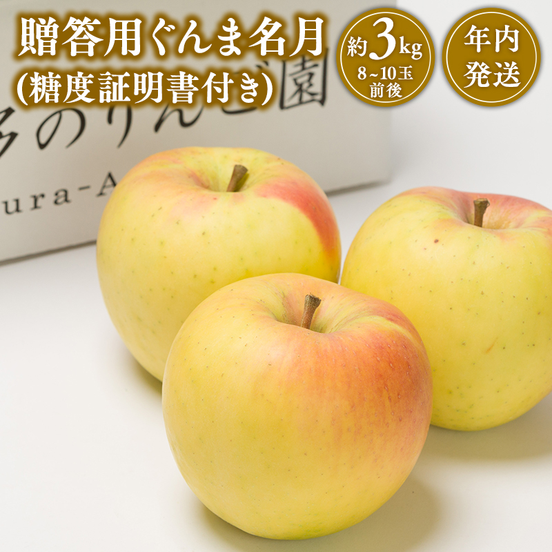 【11~12月発送】 贈答用ぐんま名月約3kg（糖度証明書付き） 【那由多のりんご園・平川市産】