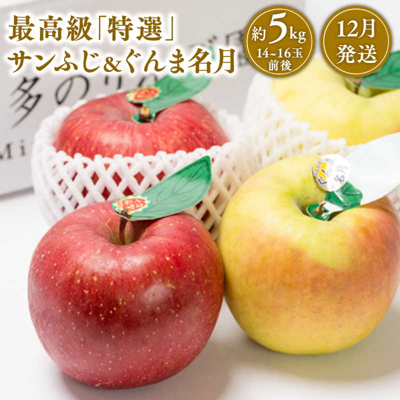 １２月発送 最高級「特選」サンふじとぐんま名月詰合せ約5kg（糖度証明書付き） 【那由多のりんご園・平川市産・12月】