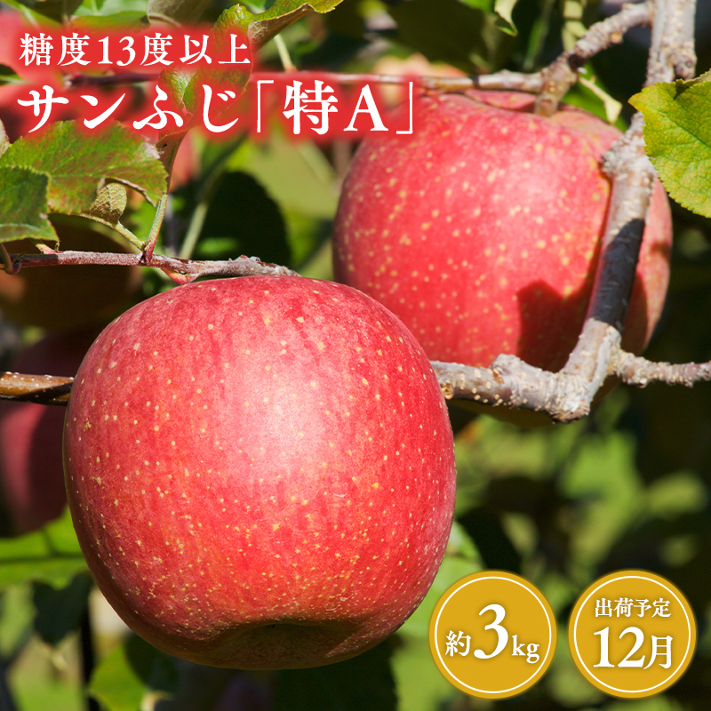 12月 サンふじりんご「特A」約3kg 糖度13度以上 【森山商店・平川市・青森りんご・12月】