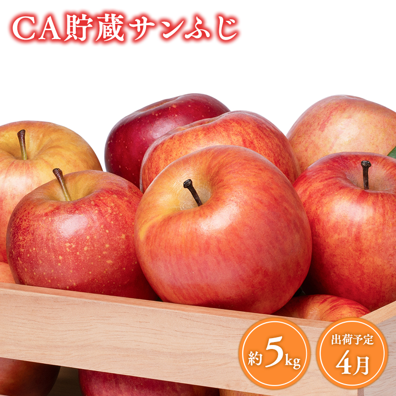 4月 CA貯蔵サンふじ 約5kg【森山商店・青森県産・青森りんご・4月】