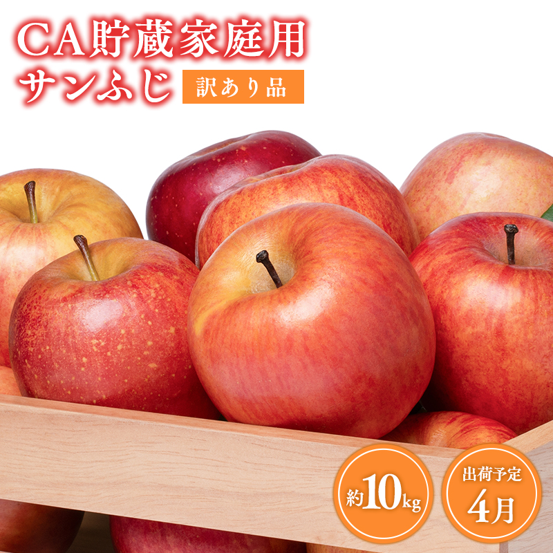 4月 訳ありCA貯蔵 サンふじ 約10kg【森山商店・青森県産・青森りんご・4月】