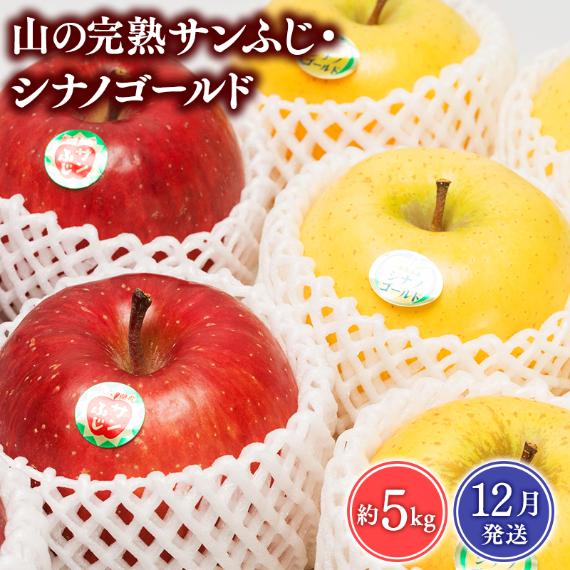 【2025年12月発送】 吹田りんご園 山の完熟サンふじ・シナノゴールド約5kg 【吹田りんご園・青森りんご・平川市広船産・12月】