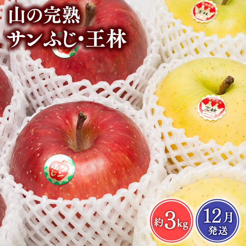 【2025年12月発送】 吹田りんご園　山の完熟サンふじ・王林合計約3kg【吹田りんご園・青森りんご・平川市広船産・12月】