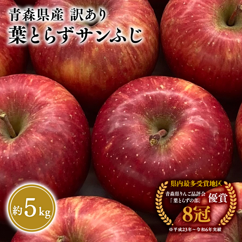 1～3月 訳あり 葉とらず サンふじ 家庭用 約5kg 【岩渕農園・平川市産・青森りんご・1月・2月・3月】