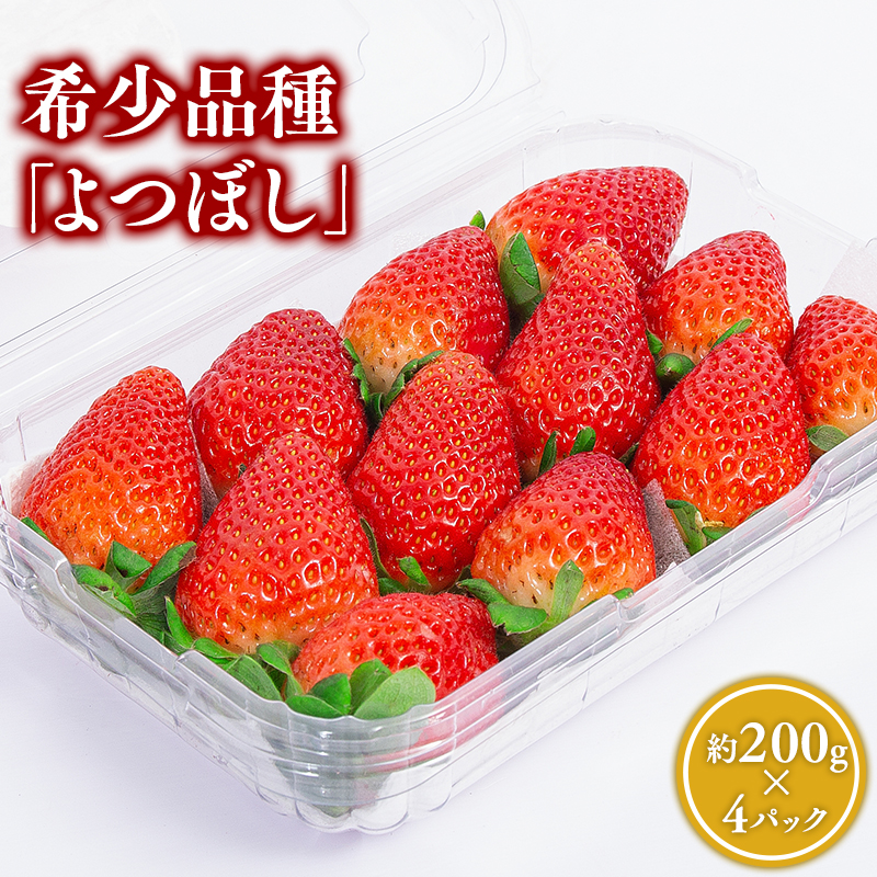 【2~4月発送】いちご よつぼし 約200ｇ×4パック