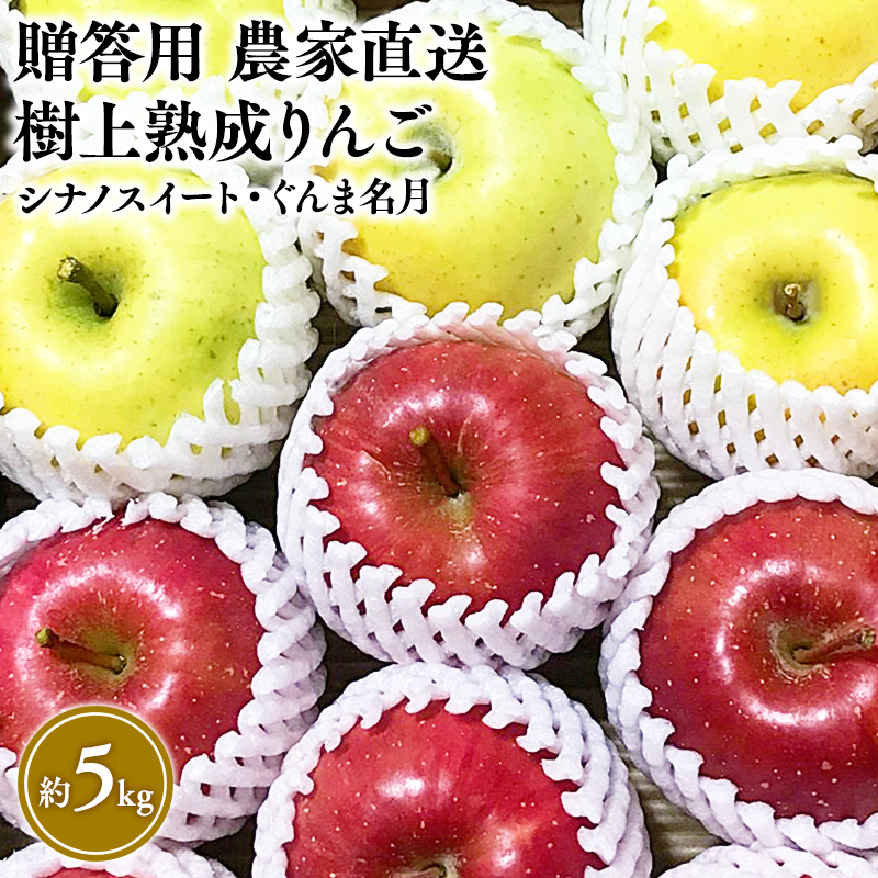 【10～11月発送】贈答用 農家直送 樹上熟成りんご シナノスイート・ぐんま名月 約5kg【平川市産・青森りんご】