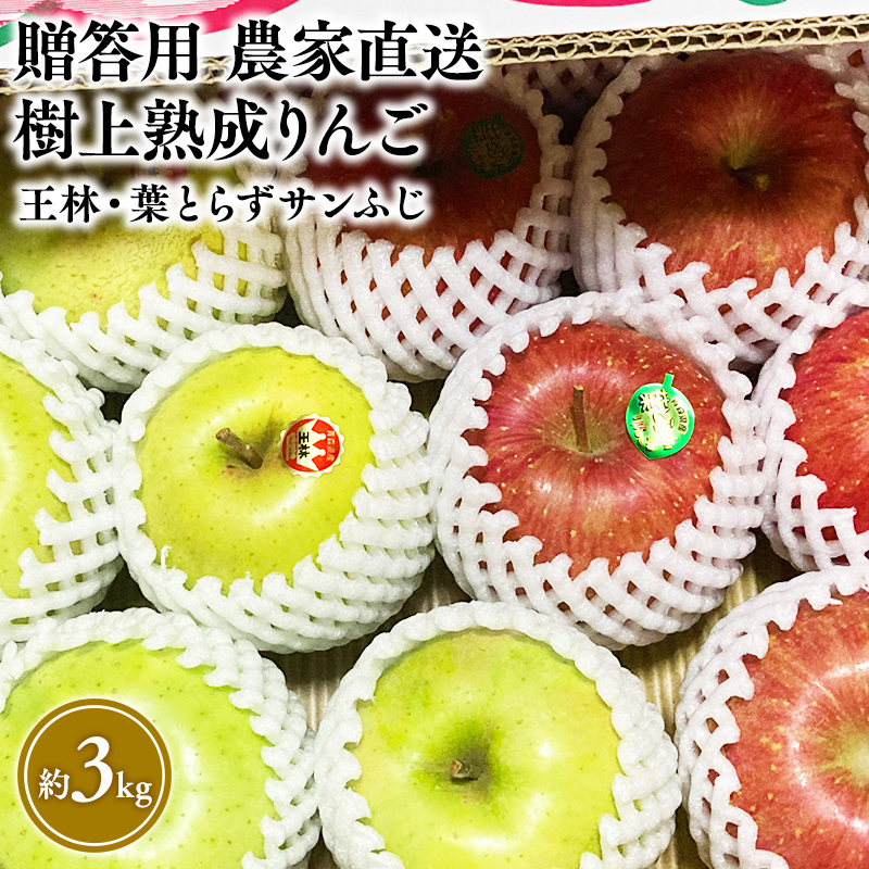 【11～12月発送】贈答用 農家直送 樹上熟成りんご 王林・葉とらずサンふじ 約3kg【平川市産・青森りんご】