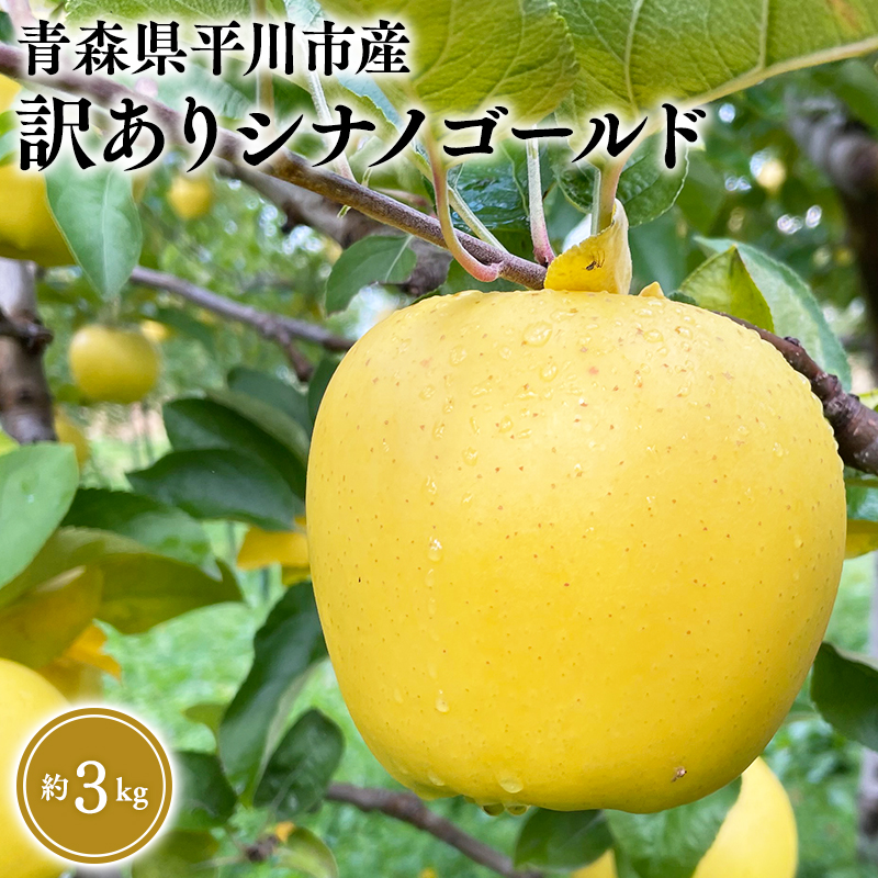 ≪2026年12月上旬頃より発送≫青森県産 訳あり シナノゴールド 約3kg【青森県 平川市 なるみ農園】家庭用 訳アリ 青森 青森県産 平川 りんご リンゴ 林檎 くだもの 果物 フルーツ 