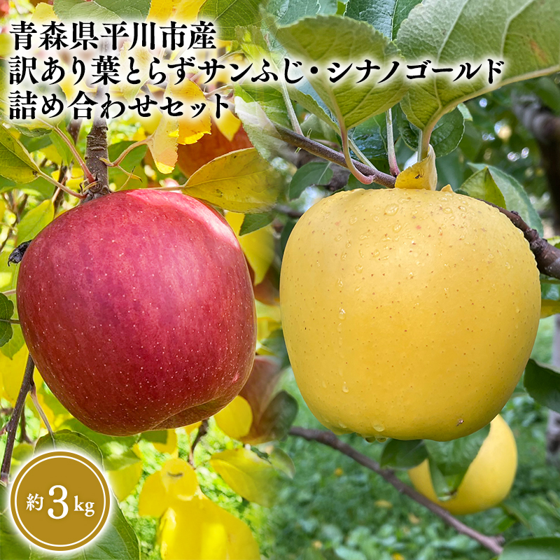 ≪2026年12月上旬頃より発送≫青森県産 訳あり 葉とらずサンふじ・シナノゴールド 詰め合わせセット 約3kg【青森県 平川市 なるみ農園】家庭用 訳アリ 青森 青森県産 平川 りんご リンゴ 林檎 くだもの 果物 フルーツ