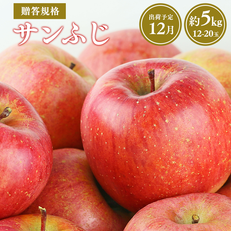 【令和7年産先行受付】令和7年12月発送 贈答用規格サンふじ約5kg【青森県平川市産・青森りんご】