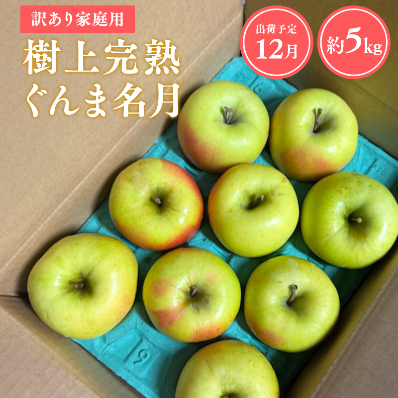 【令和7年産受付】家庭用 樹上完熟ぐんま名月約5㎏【青森県平川市産・青森りんご】